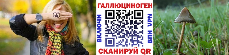 Галлюциногенные грибы мицелий  наркошоп  OMG   Белозерск 